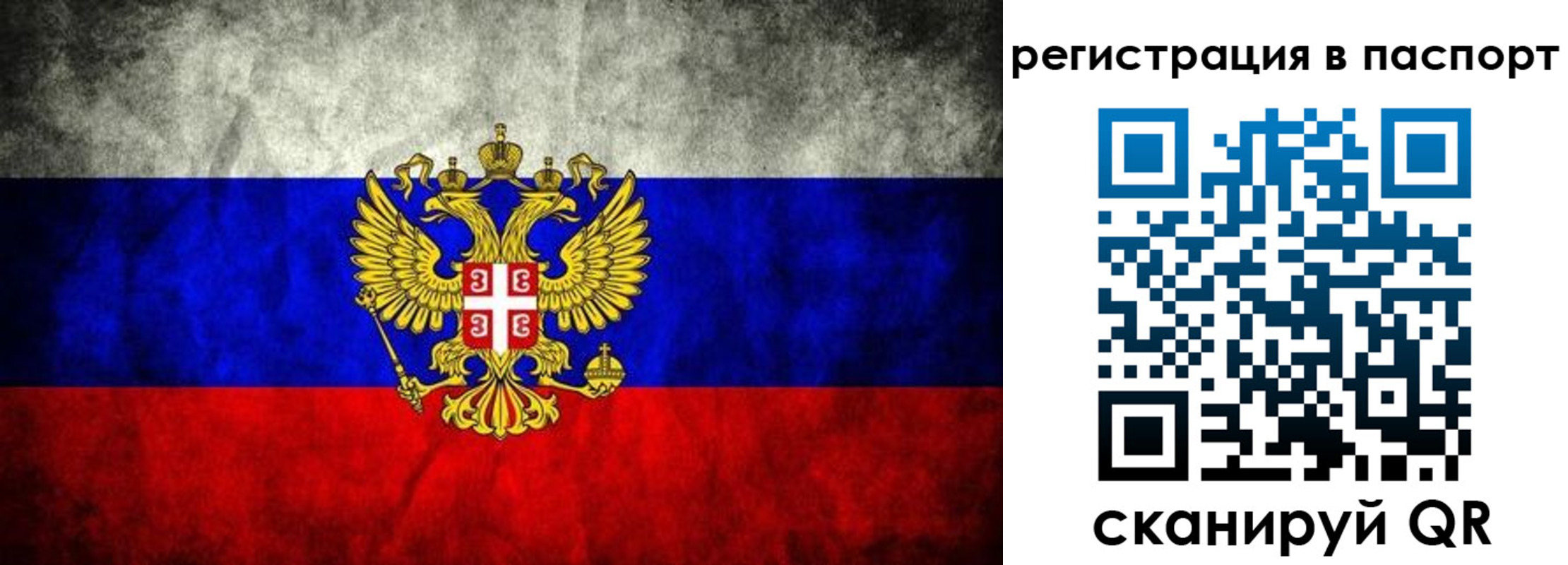 прописка законно в Ельце
